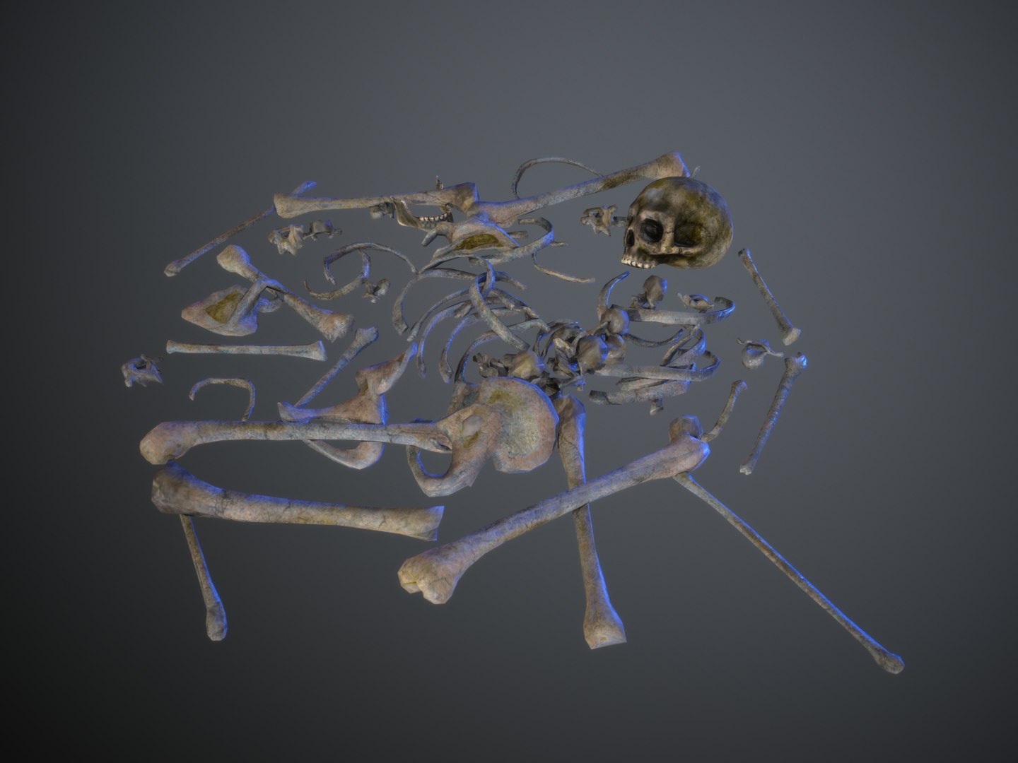 skulls1 infected alien bones model https://p.turbosquid.com/ts-thumb/5F/oDea7d/s12TdeCs/screenshot063/jpg/1577727101/1920x1080/fit_q87/597194da5352fd5d62dee68d1b2516184c5b8c23/screenshot063.jpg