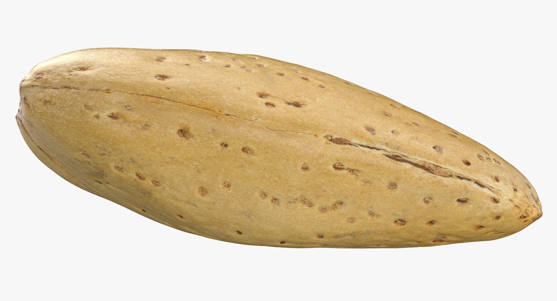 Almonds With Shell Collection 02 - 3 models 3D model https://p.turbosquid.com/ts-thumb/5F/pgJWxr/24/almond_with_shell_02_thumbnail_0007/jpg/1650379737/1920x1080/fit_q87/7935d94e3e6032191ed9efb9c1b2f6e92783c97e/almond_with_shell_02_thumbnail_0007.jpg