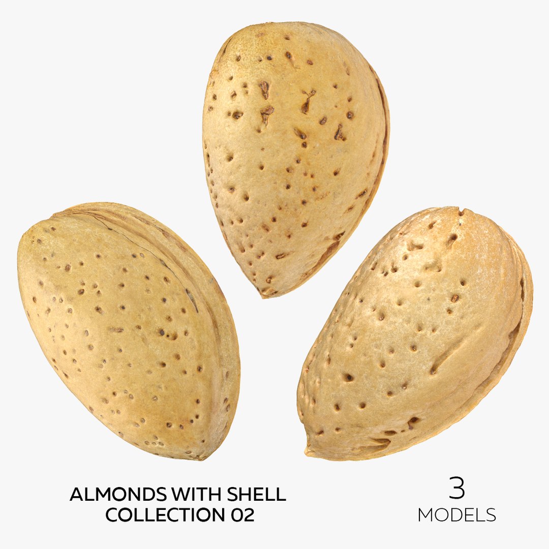 Almonds With Shell Collection 02 - 3 models 3D model https://p.turbosquid.com/ts-thumb/5F/pgJWxr/HP/square/jpg/1650379666/1920x1080/fit_q87/f5a108eb3ad0a9f5dcc9f405e8d62dc15dcc3da5/square.jpg