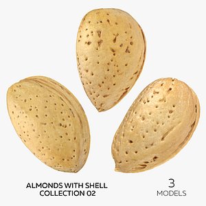 Almonds With Shell Collection 02 - 3 models 3D model