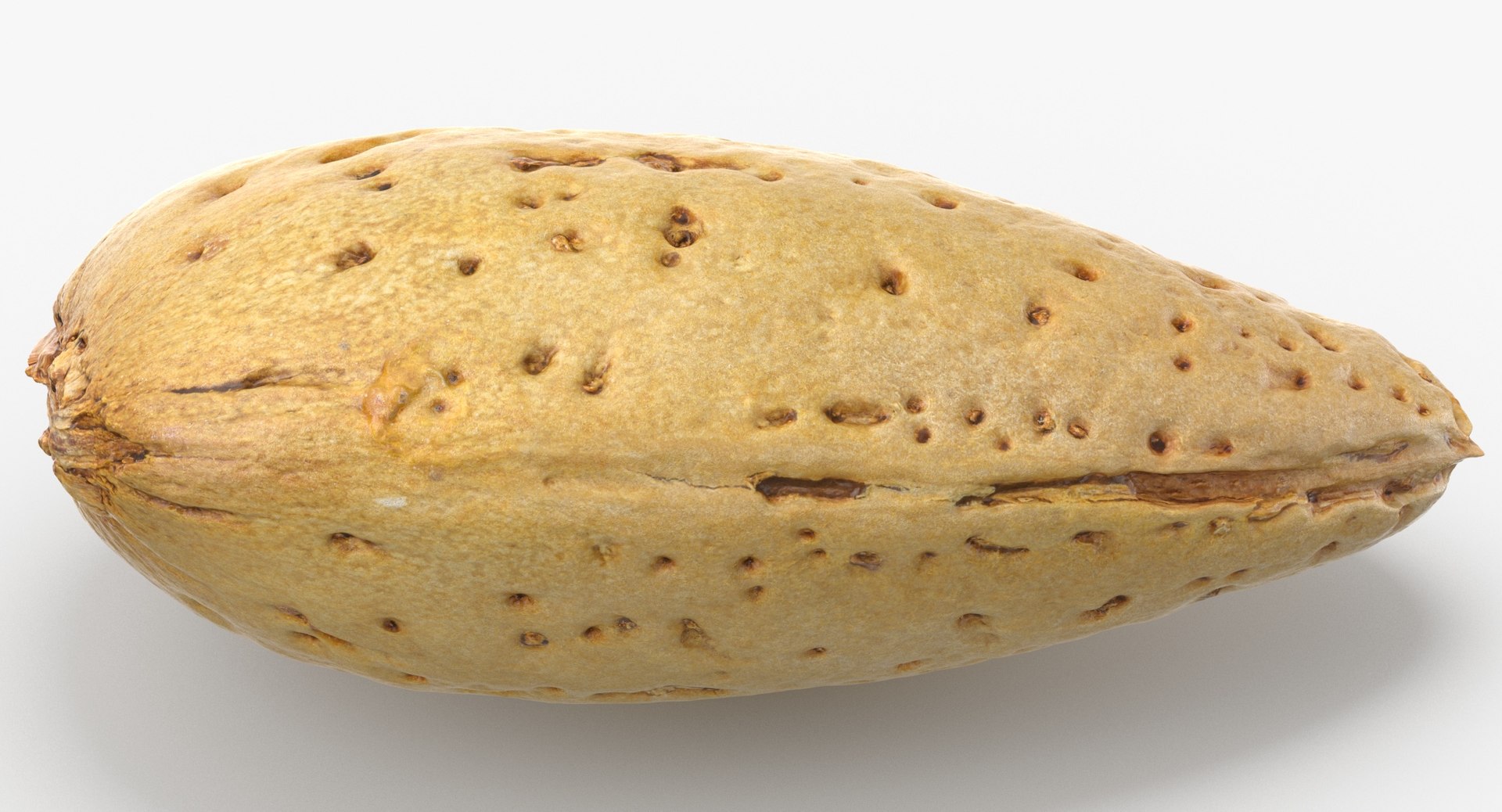 Almonds With Shell Collection 02 - 3 models 3D model https://p.turbosquid.com/ts-thumb/5F/pgJWxr/Uz/almond_with_shell_01_thumbnail_0005/jpg/1650379737/1920x1080/fit_q87/cbc2364cf33844376eb55b2beda37afd04242733/almond_with_shell_01_thumbnail_0005.jpg