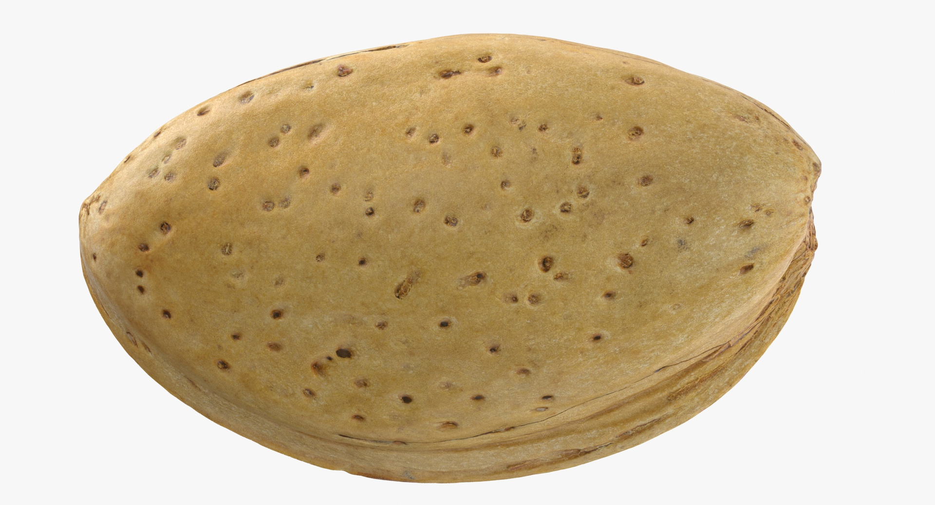 Almonds With Shell Collection 02 - 3 models 3D model https://p.turbosquid.com/ts-thumb/5F/pgJWxr/YM/0000/jpg/1582633567/1920x1080/turn_fit_q99/2f3762c36706bcef5be74e3b79bde26378c8dcab/0000-1.jpg