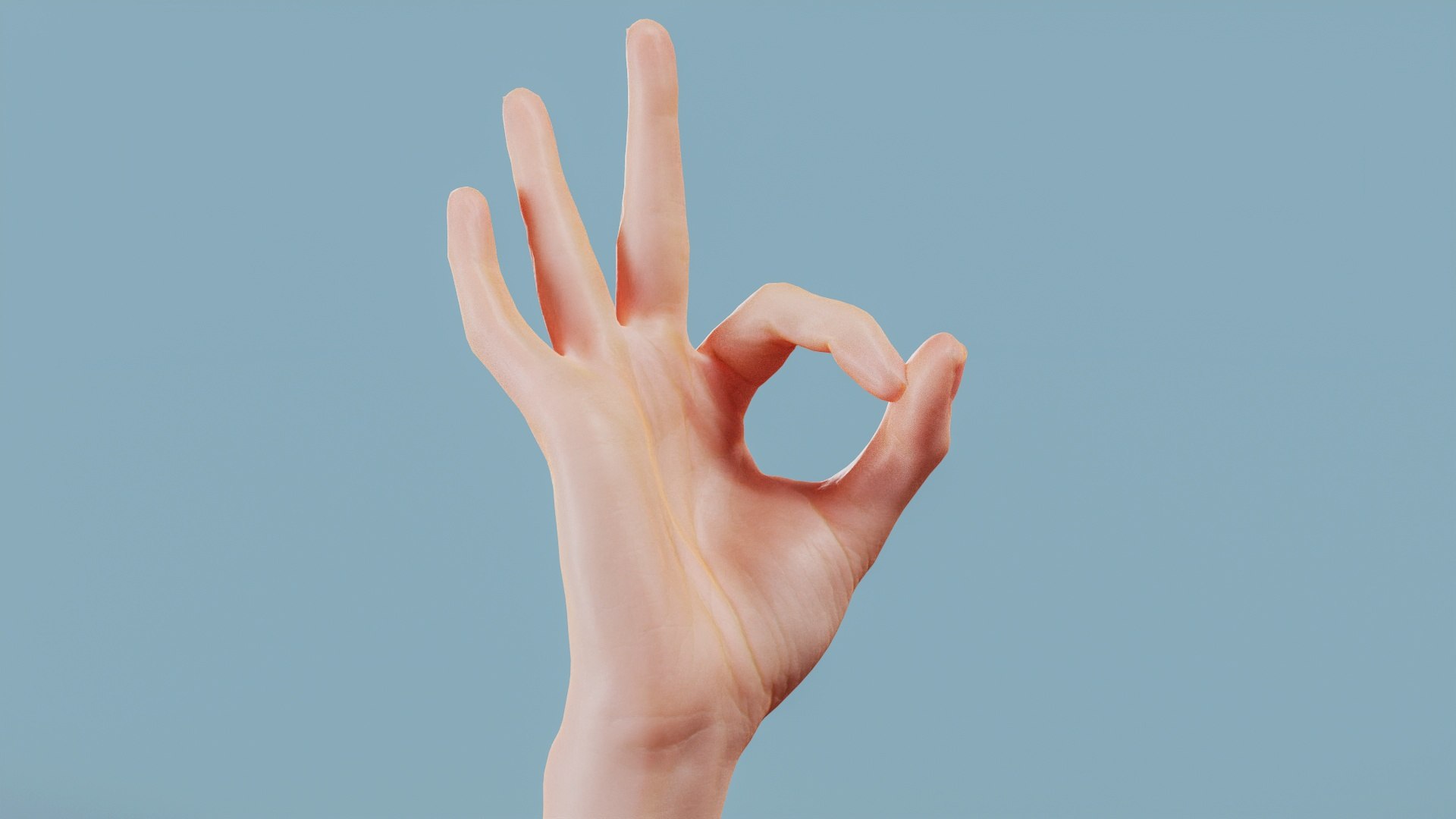 22 Female Single Hands poses model https://p.turbosquid.com/ts-thumb/5F/tlqEhr/2E/single_hand005full_quality00/jpg/1709818682/1920x1080/fit_q87/b389d202213c395cb1d1e45cdd80b861ba6df0f4/single_hand005full_quality00.jpg