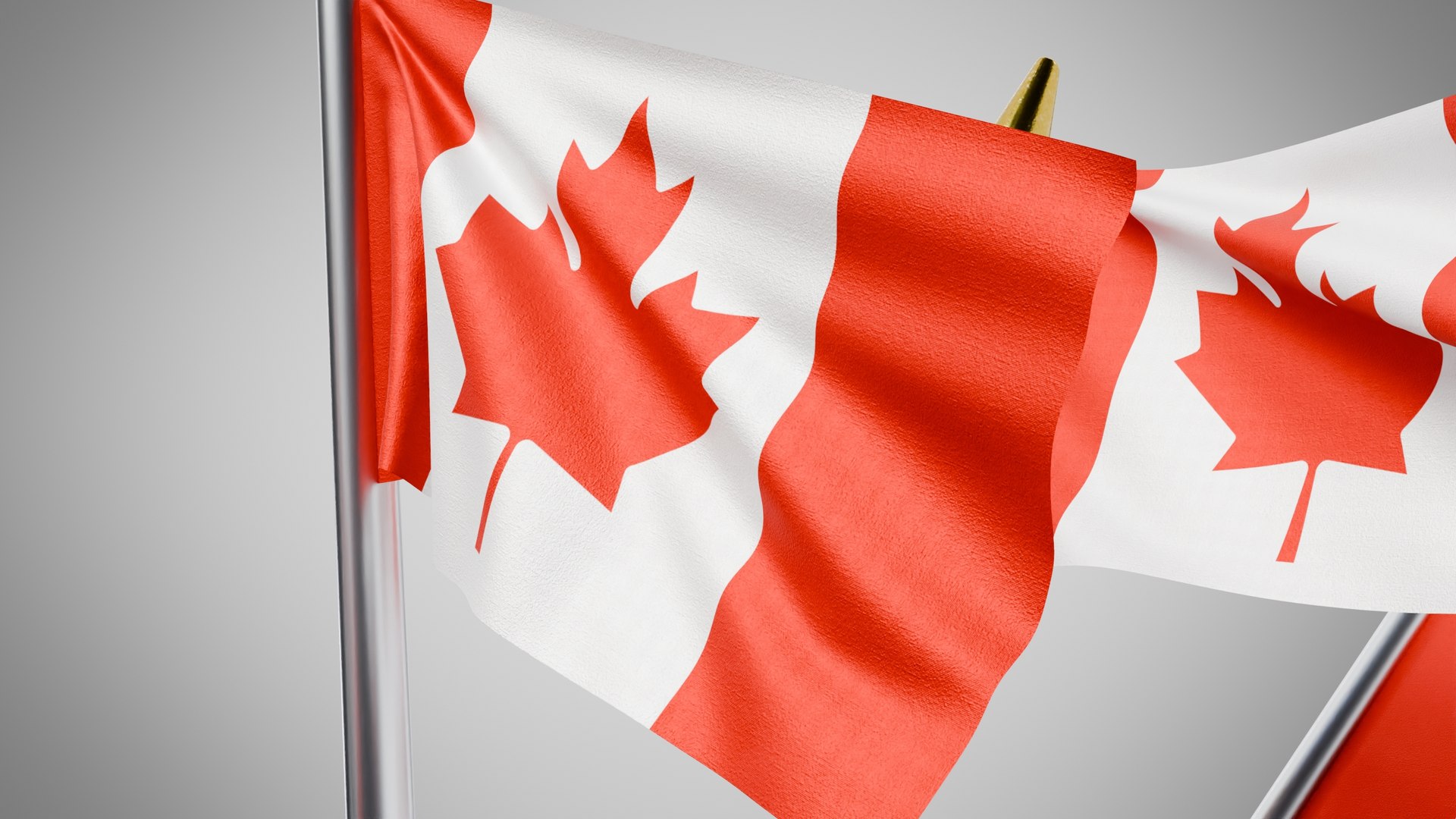 3D model Wall Mount Flags 5 Of Canada https://p.turbosquid.com/ts-thumb/5F/wyBts3/Y3/5/jpg/1777657341/1920x1080/fit_q87/5b831b40d61a3f81064b3df4c36b6083b3b37ddd/5.jpg