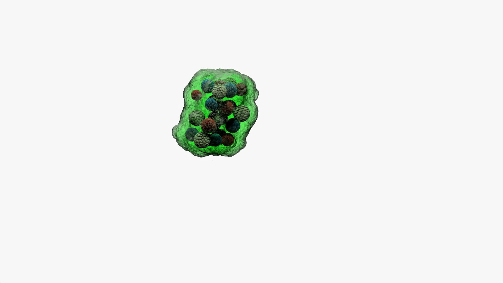 Bacterium 3D - TurboSquid 2166784