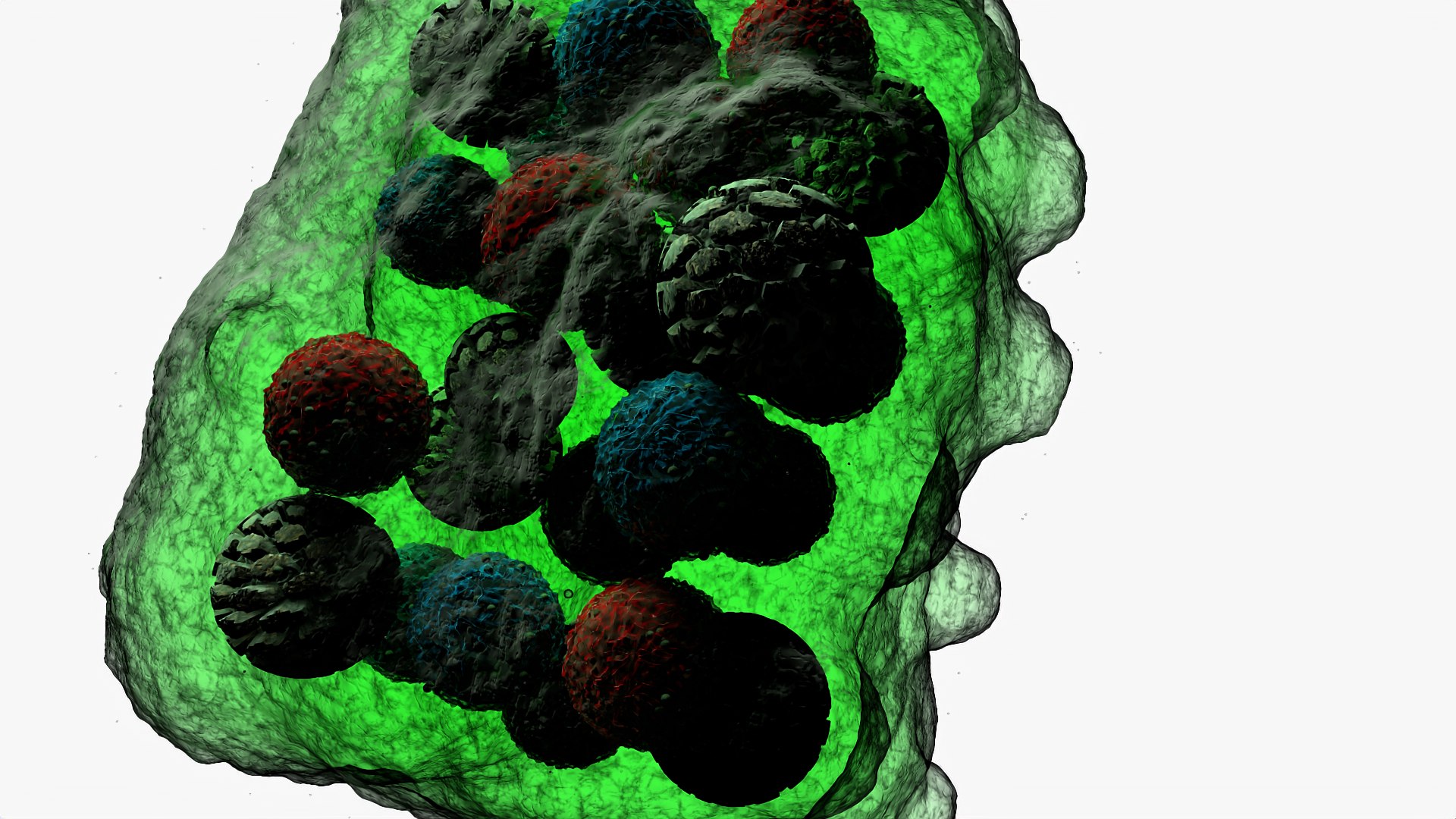 Bacterium 3D - TurboSquid 2166784