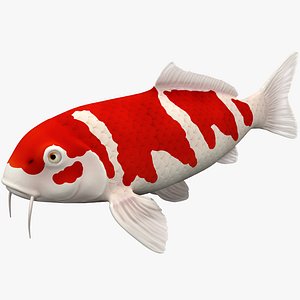 3d model koi fish