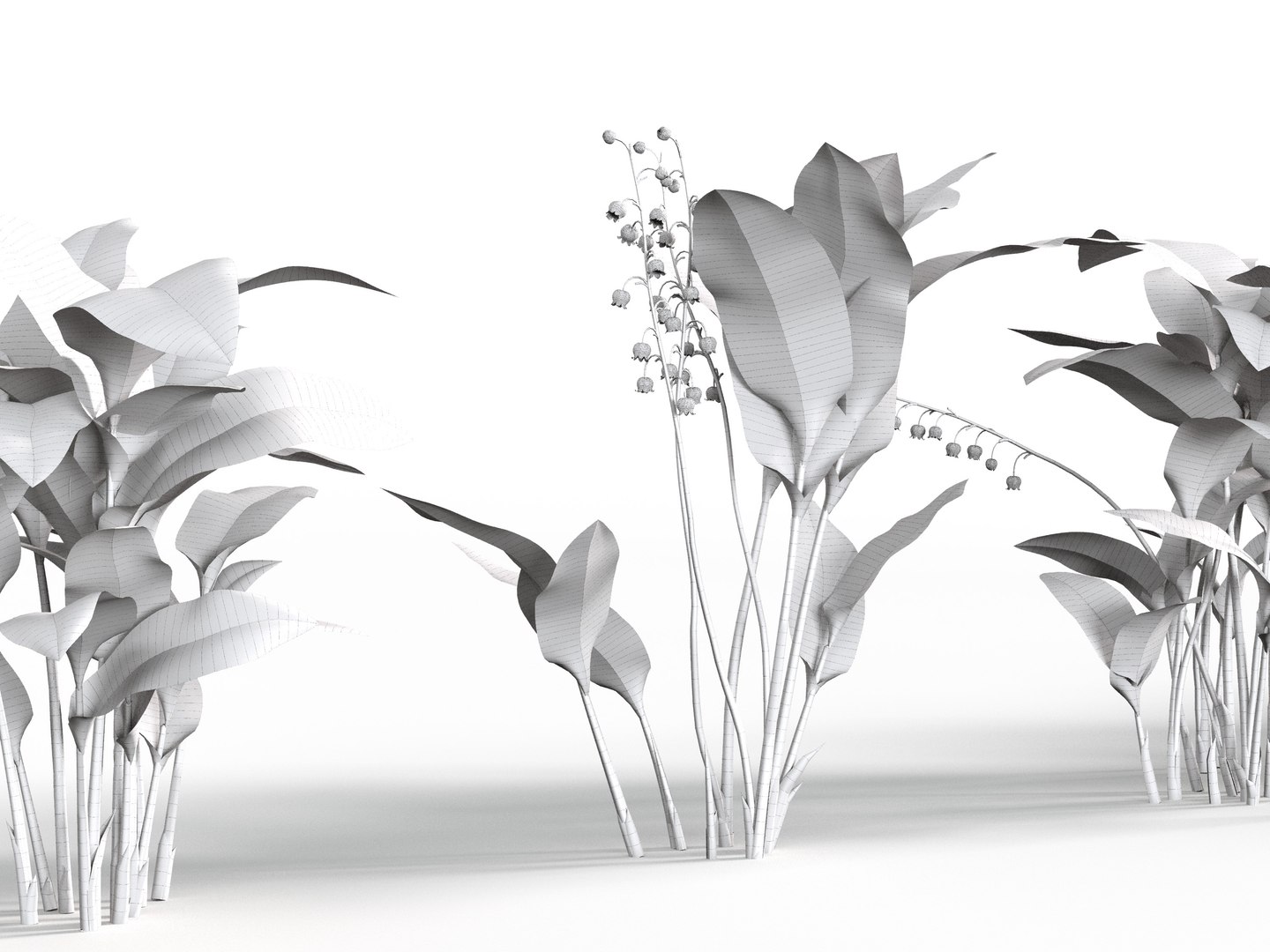 Convallaria majalis - May bells 3D model 3D model https://p.turbosquid.com/ts-thumb/5G/ezq2c1/83/gd_v18_convallaria_majalis_wire02/jpg/1787119281/1920x1080/fit_q87/3a18c69b908f2e08fc545997953805a1d9b346cb/gd_v18_convallaria_majalis_wire02.jpg
