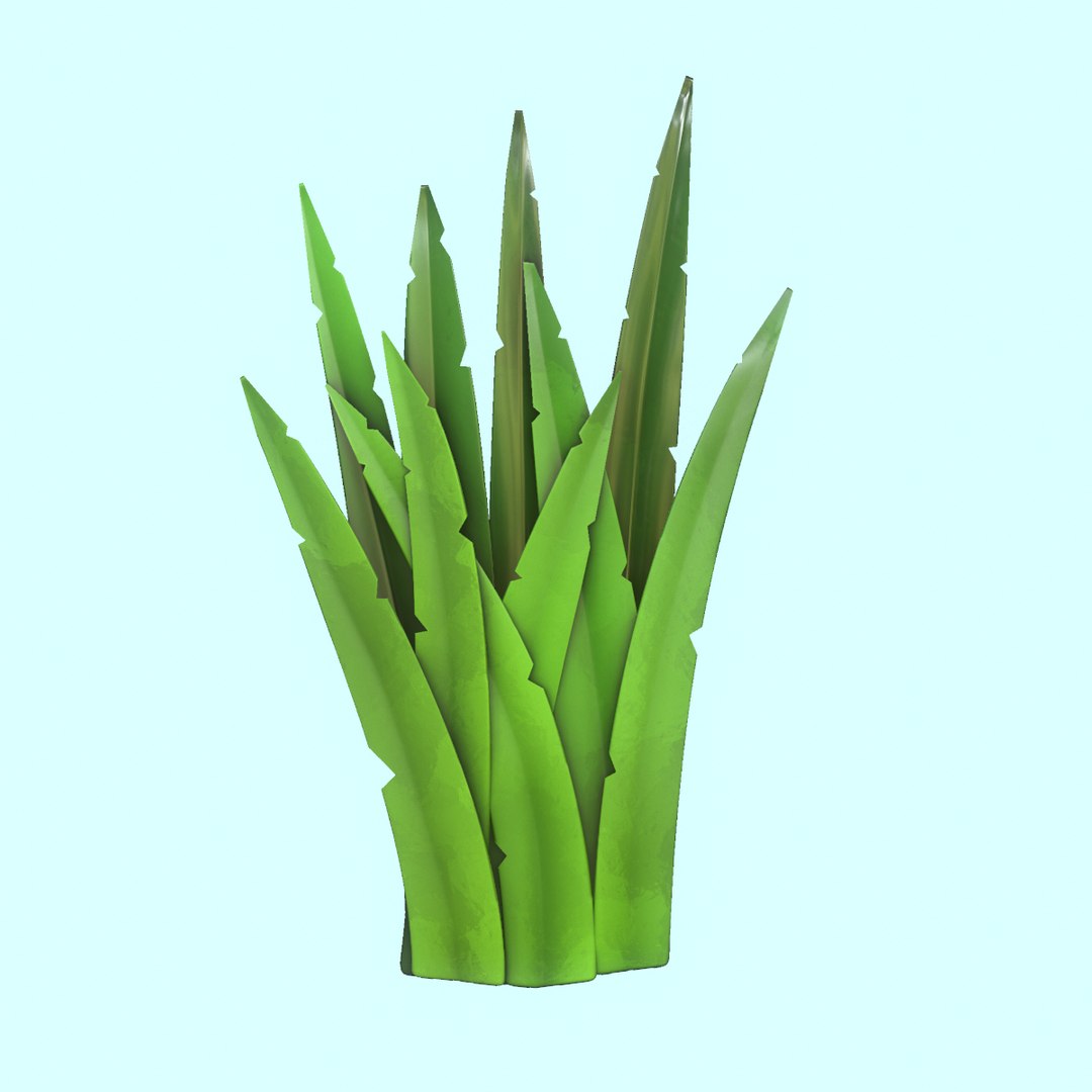 3D modeled grass pack model https://p.turbosquid.com/ts-thumb/5G/k6NMvC/1C1FwrmF/5/png/1575822979/1920x1080/fit_q87/3fcbf2b1cea7d020a3bd0760654fbd172cf70088/5.jpg