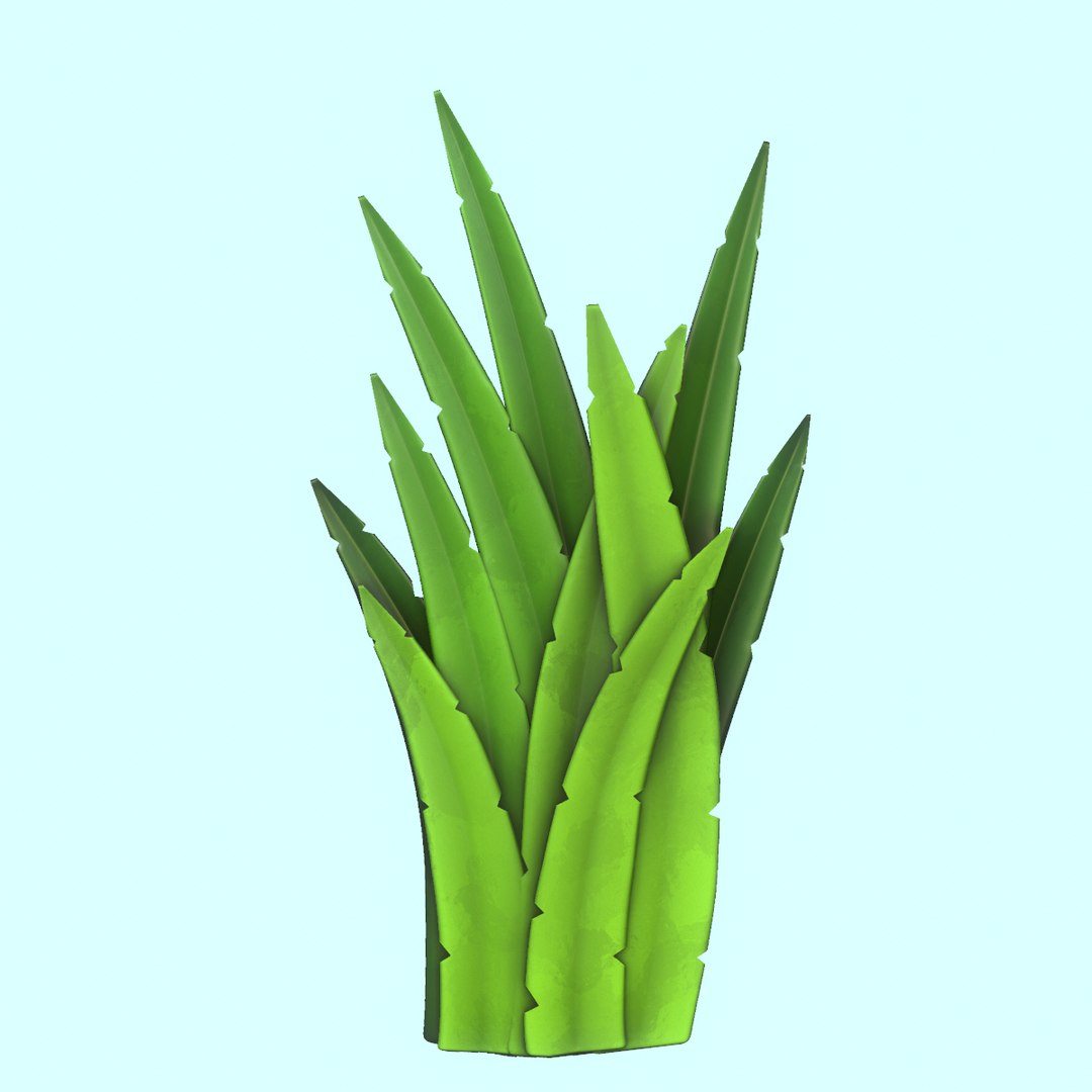 3D modeled grass pack model https://p.turbosquid.com/ts-thumb/5G/k6NMvC/2cDSH0Ye/7/png/1575822979/1920x1080/fit_q87/0263454fd6f1c44ad5f71db51b6eaf1b4b4e09c3/7.jpg