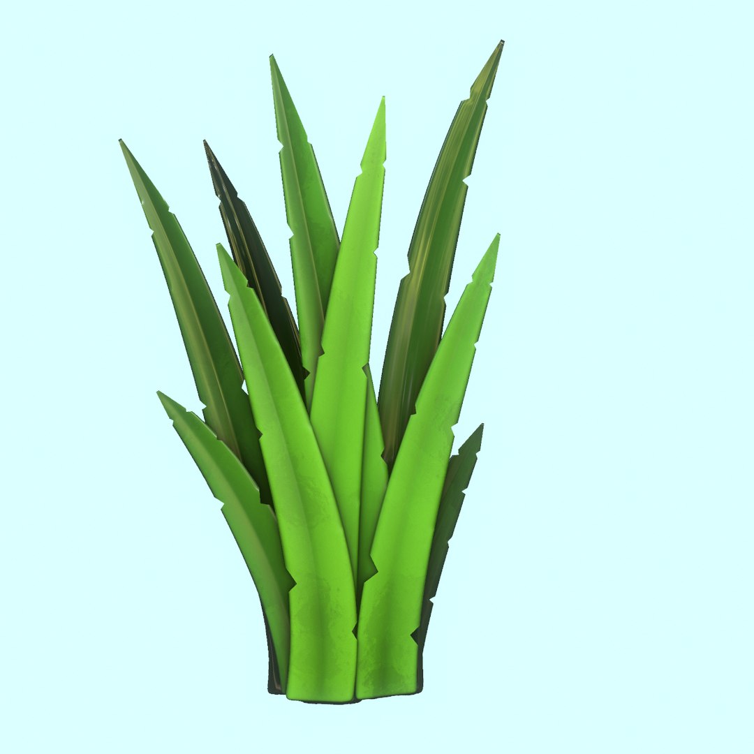 3D modeled grass pack model https://p.turbosquid.com/ts-thumb/5G/k6NMvC/W1Lt7iiI/8/png/1575822979/1920x1080/fit_q87/426d82765c653d154c6bd6d9ee59a85adc759231/8.jpg