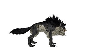 Animated Wolf 3D Model 3D model