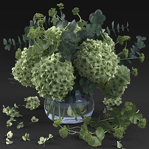 hydrangea 3D model
