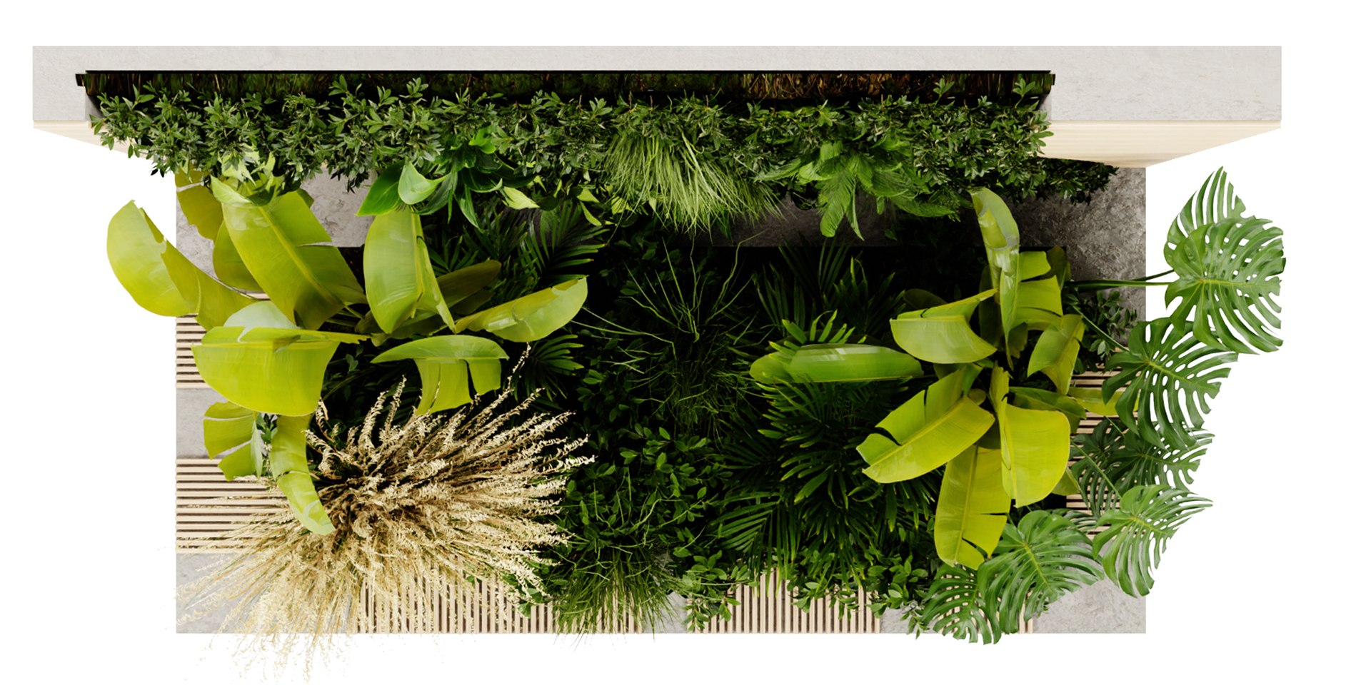 Collection plant vol 462 - blender model model https://p.turbosquid.com/ts-thumb/5H/71j8Nm/ec/6/jpg/1689855316/1920x1080/fit_q87/ae2269221f9af73c12647970977a3893cb8f2dbf/6.jpg