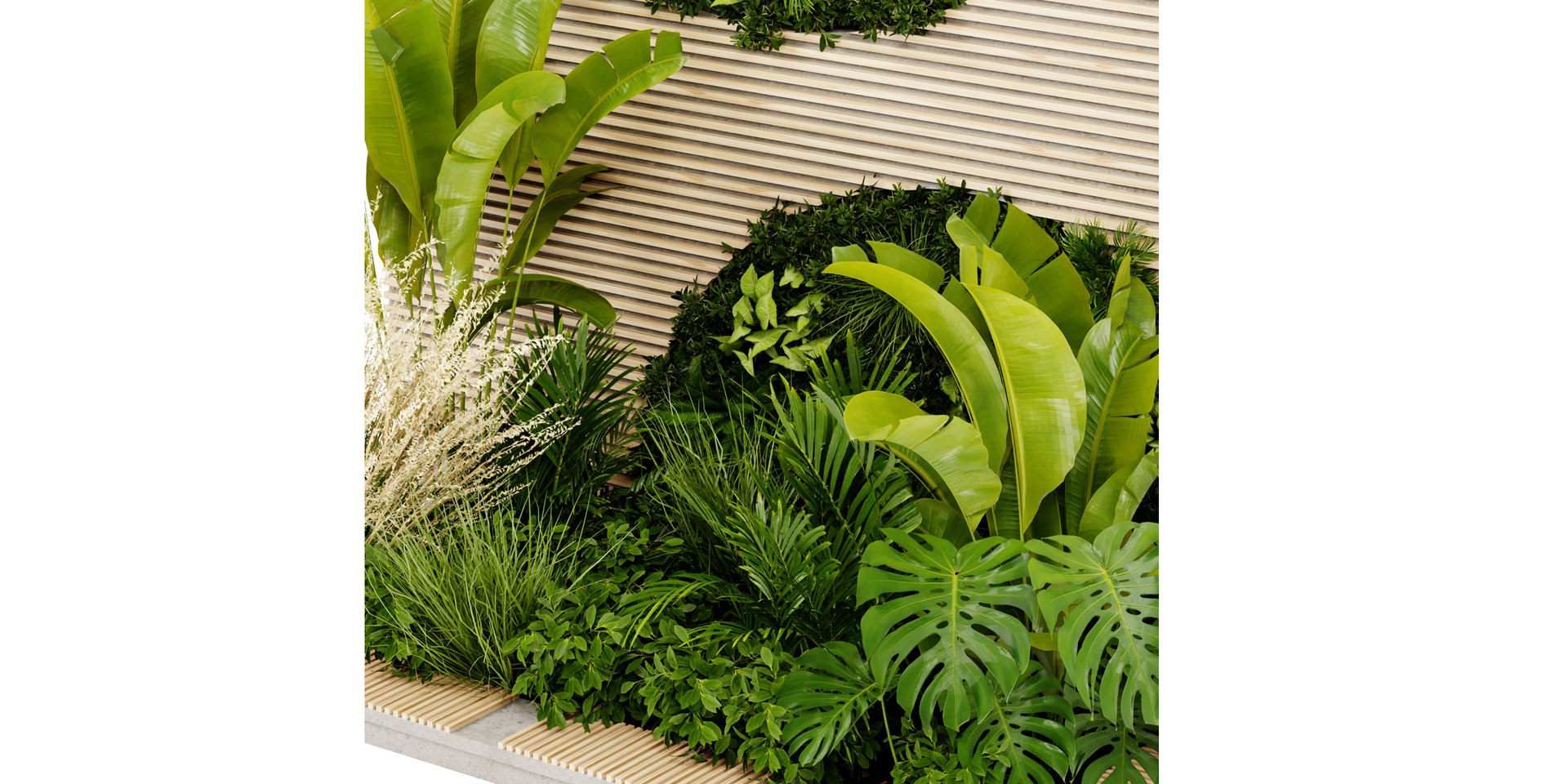 Collection plant vol 462 - blender model model https://p.turbosquid.com/ts-thumb/5H/71j8Nm/fo/3/jpg/1689855320/1920x1080/fit_q87/6476b1446ce8428fe809129bc30617dc88f922b7/3.jpg