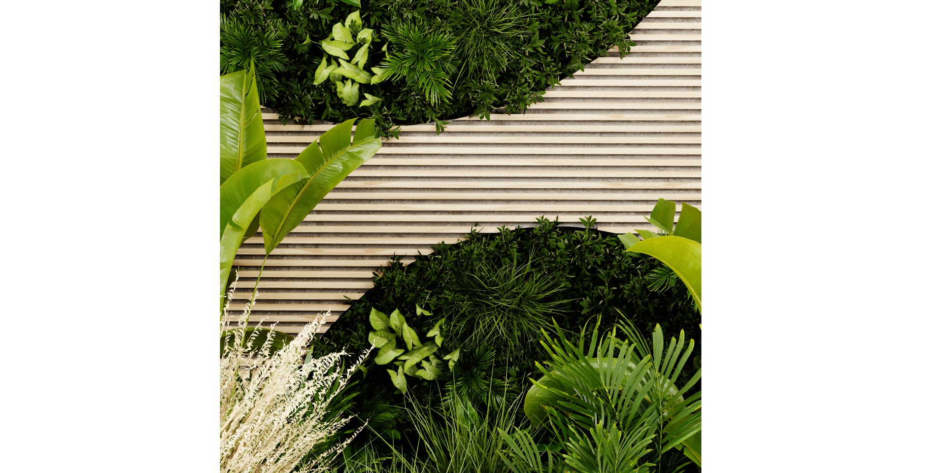 Collection plant vol 462 - blender model model https://p.turbosquid.com/ts-thumb/5H/71j8Nm/hA/5/jpg/1689855316/1920x1080/fit_q87/938830b8f9b0b46bc2cc2bd0cfe28d6ddbe5b0b9/5.jpg