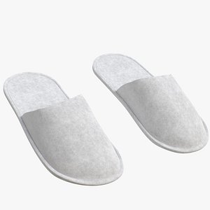 3D disposable slippers model