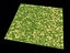 Plains Terrain 00