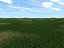 Plains Terrain 00