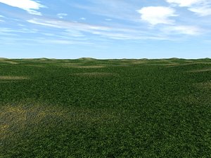 Plains Terrain 00