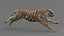 3D realistic tiger fur animators model