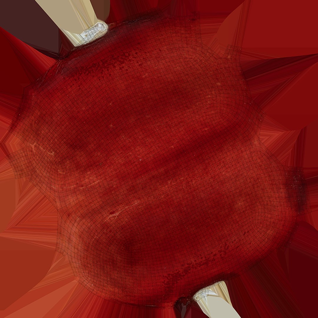 3D model Red Kidney Bean 02 https://p.turbosquid.com/ts-thumb/5H/MTy8eE/0p/redbean02_c0004/png/1763904253/1920x1080/fit_q87/f966b710ee49af045be6a3071fa2726bd9a2fb42/redbean02_c0004.jpg