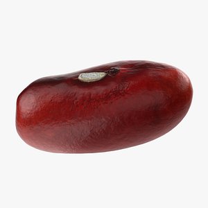 3D model Red Kidney Bean 02