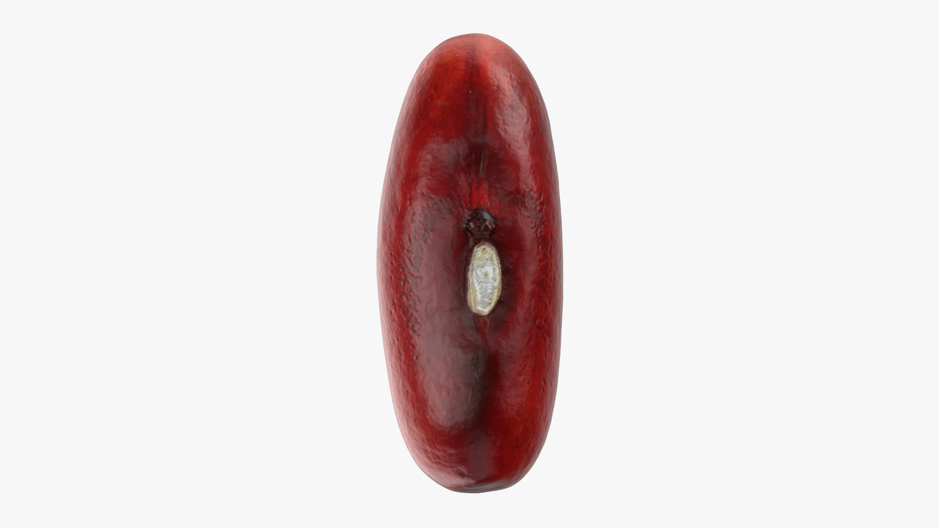 3D model Red Kidney Bean 02 https://p.turbosquid.com/ts-thumb/5H/MTy8eE/Eu/redbean02/png/1764007487/1920x1080/turn_fit_q99/61071d4d2693fd9505f74d38fe88b1b058b71d3b/redbean02-1.jpg