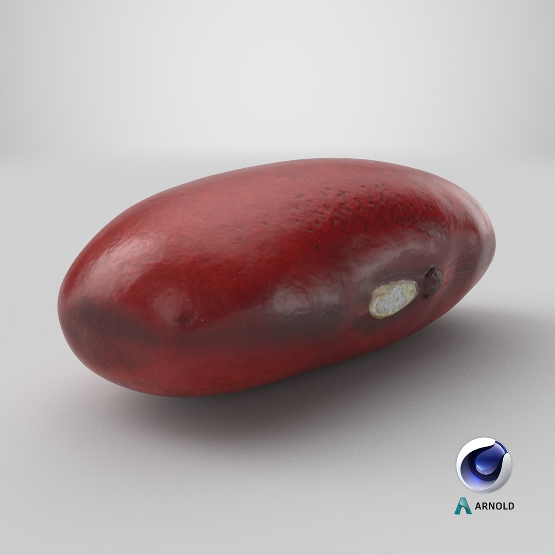 3D model Red Kidney Bean 02 https://p.turbosquid.com/ts-thumb/5H/MTy8eE/Fk/stemcell_cinema_4d_arnold_render/png/1764655433/1920x1080/fit_q87/f662e0496f787a35b10819183526bd41deb75e46/stemcell_cinema_4d_arnold_render.jpg