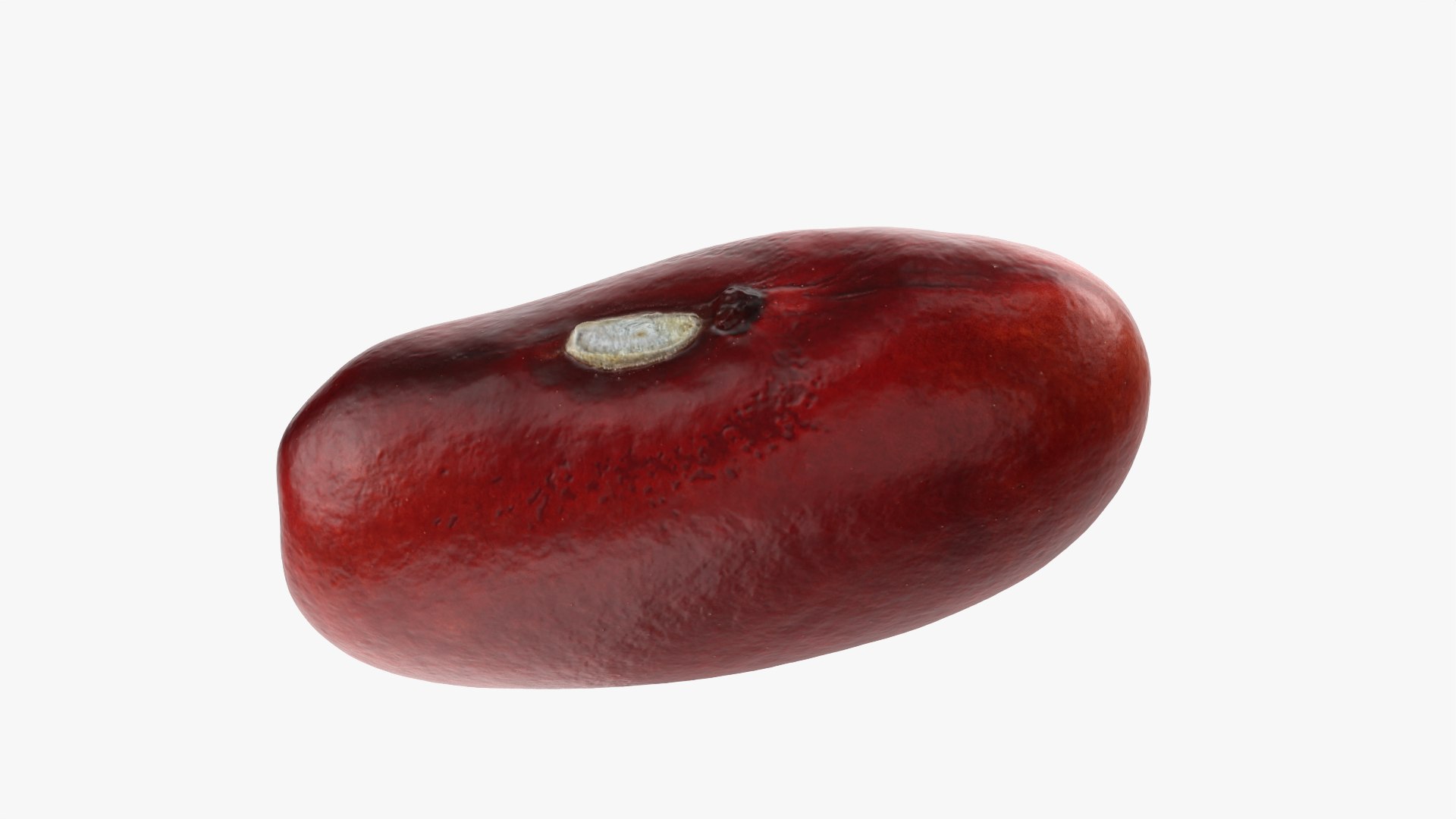 3D model Red Kidney Bean 02 https://p.turbosquid.com/ts-thumb/5H/MTy8eE/KB/redbean02_0010/png/1763904250/1920x1080/fit_q87/7a0a41b30ae2c43db7023574fa4cfa78ec5c2917/redbean02_0010.jpg