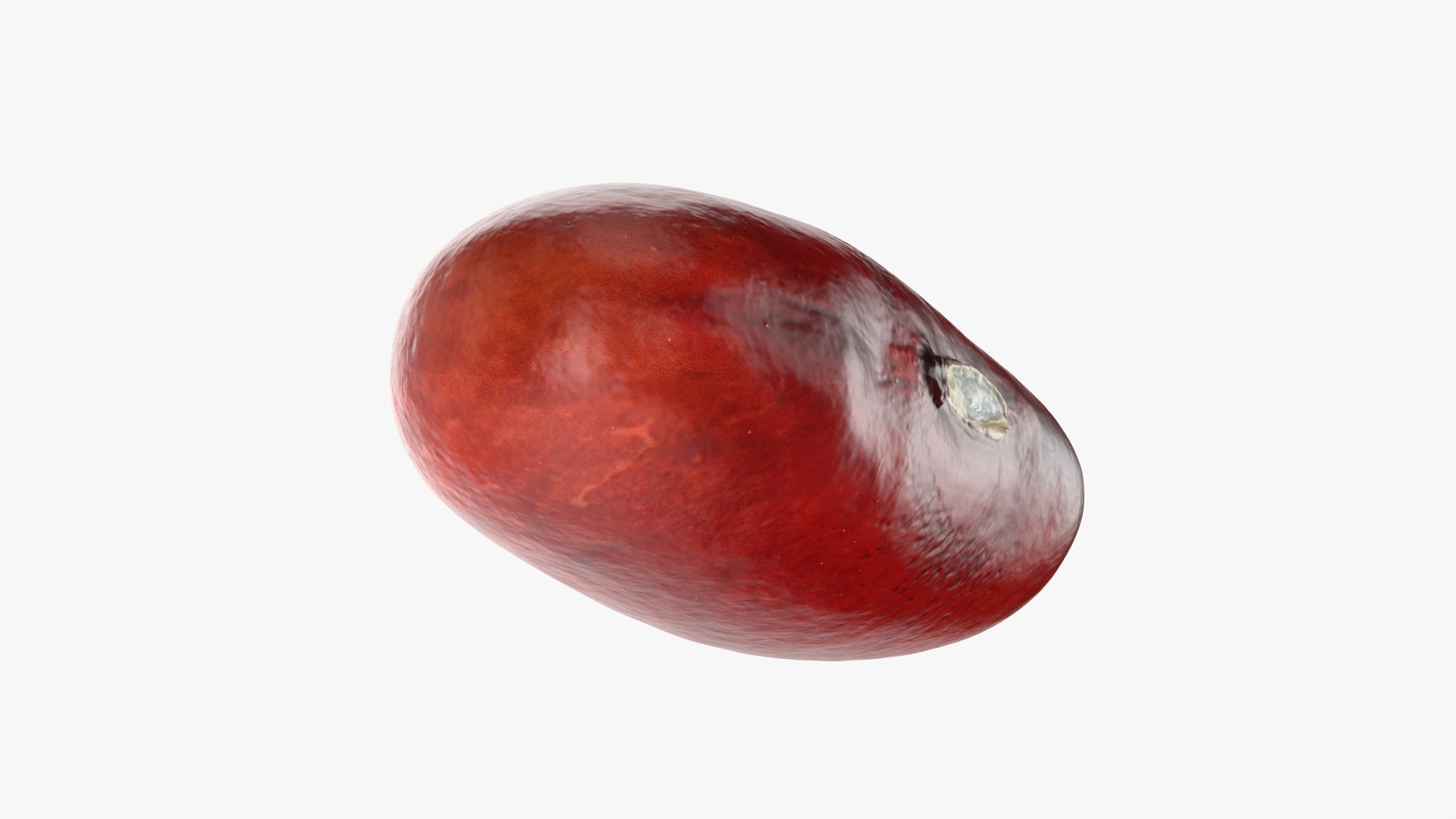 3D model Red Kidney Bean 02 https://p.turbosquid.com/ts-thumb/5H/MTy8eE/V2/redbean02_0009/png/1763904250/1920x1080/fit_q87/6277473f6b8ebf9a54a1af4d221a7a1b06c6eb0b/redbean02_0009.jpg