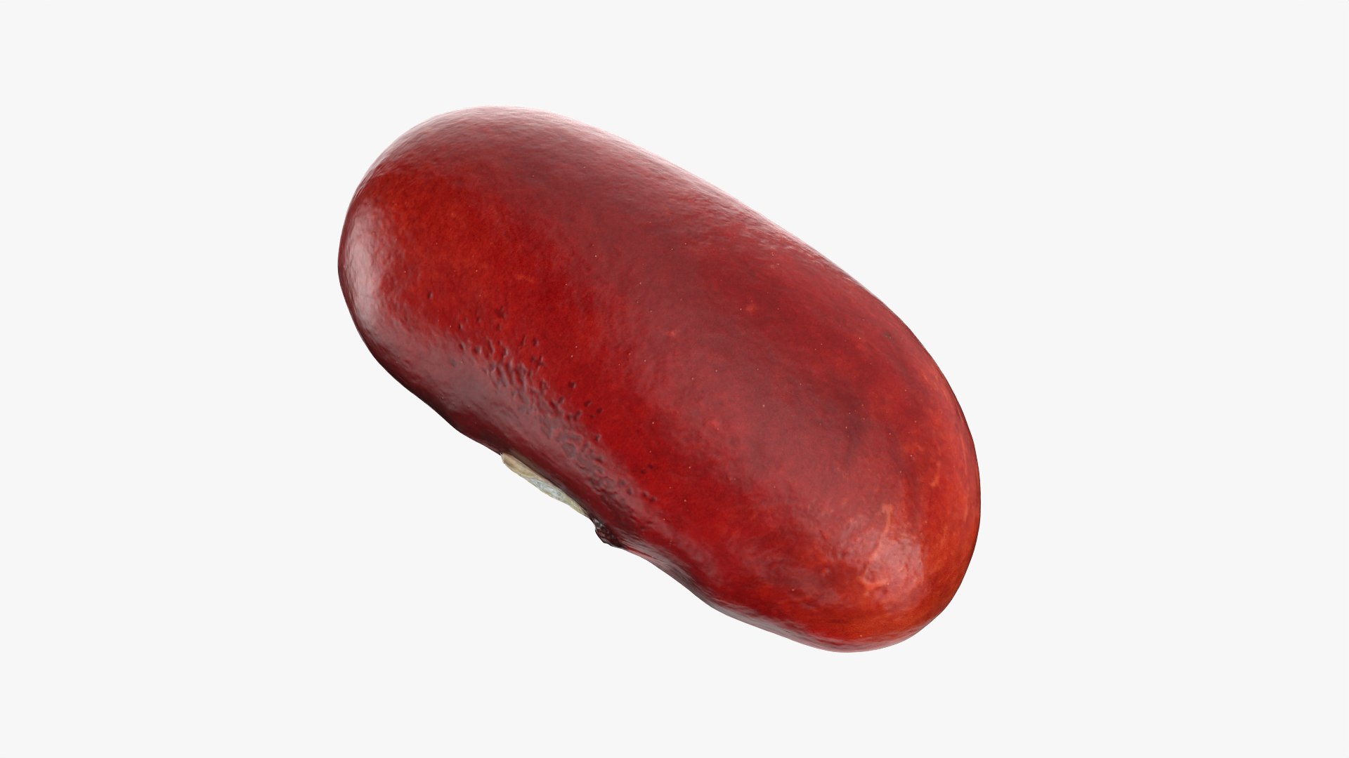 3D model Red Kidney Bean 02 https://p.turbosquid.com/ts-thumb/5H/MTy8eE/cT/redbean02_0011/png/1763904255/1920x1080/fit_q87/d45c1dff4a840c0834744d0b5b9a043c9d4a3beb/redbean02_0011.jpg
