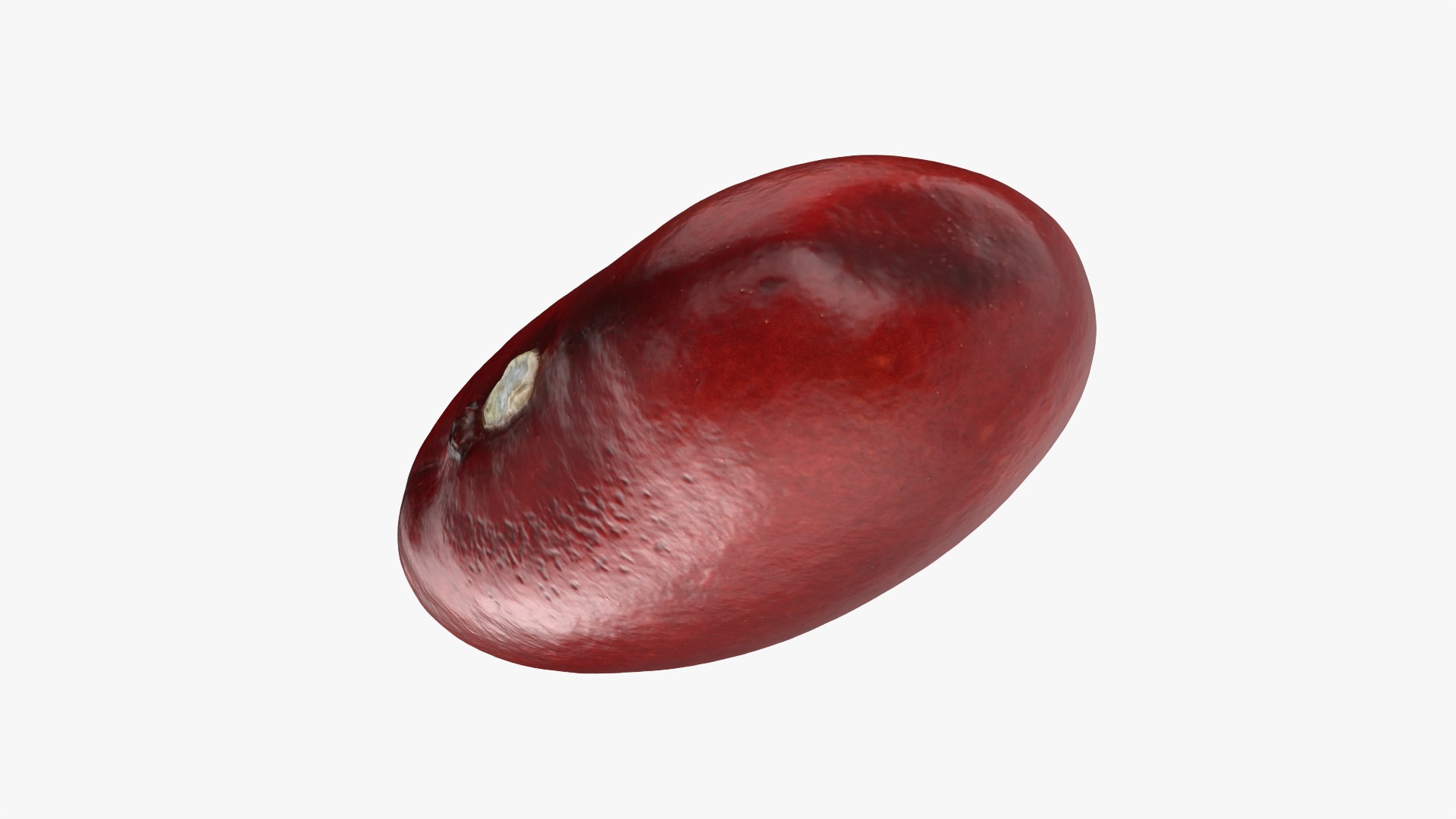 3D model Red Kidney Bean 02 https://p.turbosquid.com/ts-thumb/5H/MTy8eE/my/redbean02_0004/png/1763904242/1920x1080/fit_q87/9b2613e0727ddb03fadfd624d8a5303182b710e8/redbean02_0004.jpg