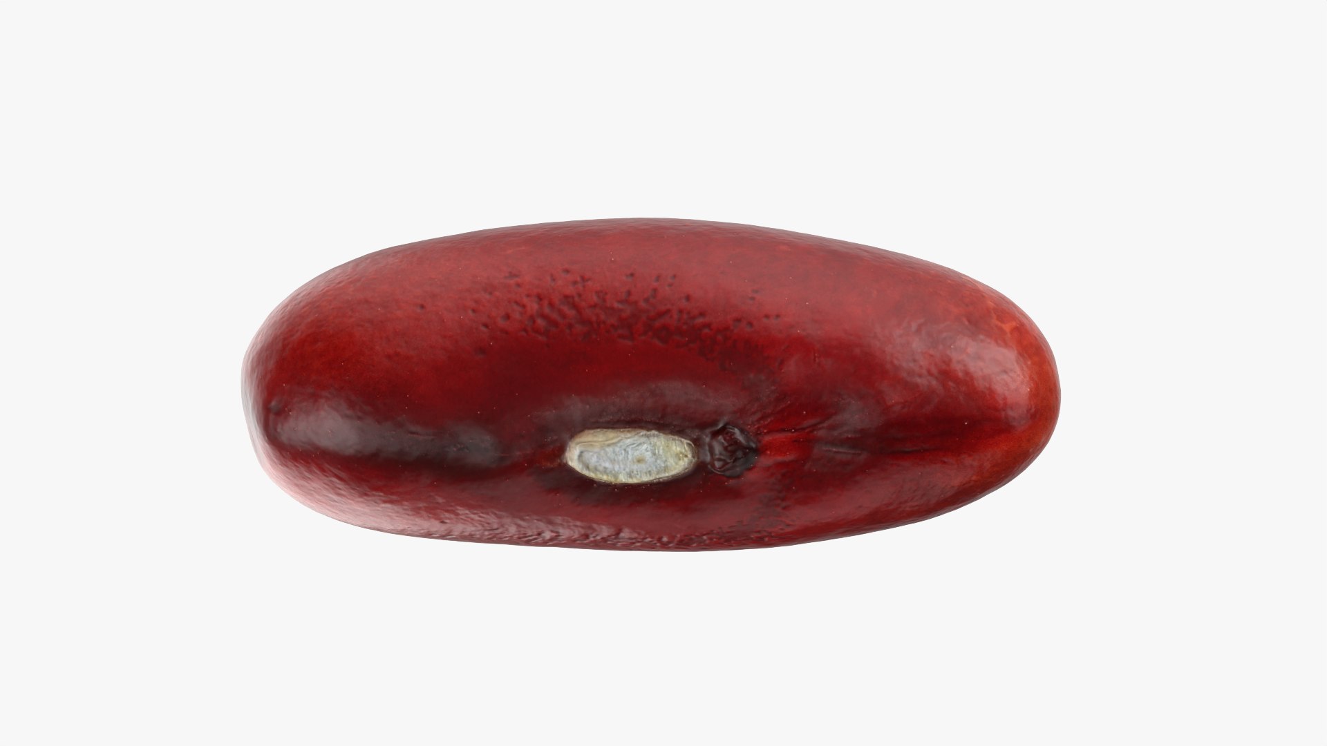 3D model Red Kidney Bean 02 https://p.turbosquid.com/ts-thumb/5H/MTy8eE/qG/redbean02_0005/png/1763904243/1920x1080/fit_q87/087d7f107e771ec69d19bacda816d2b199e18dd2/redbean02_0005.jpg