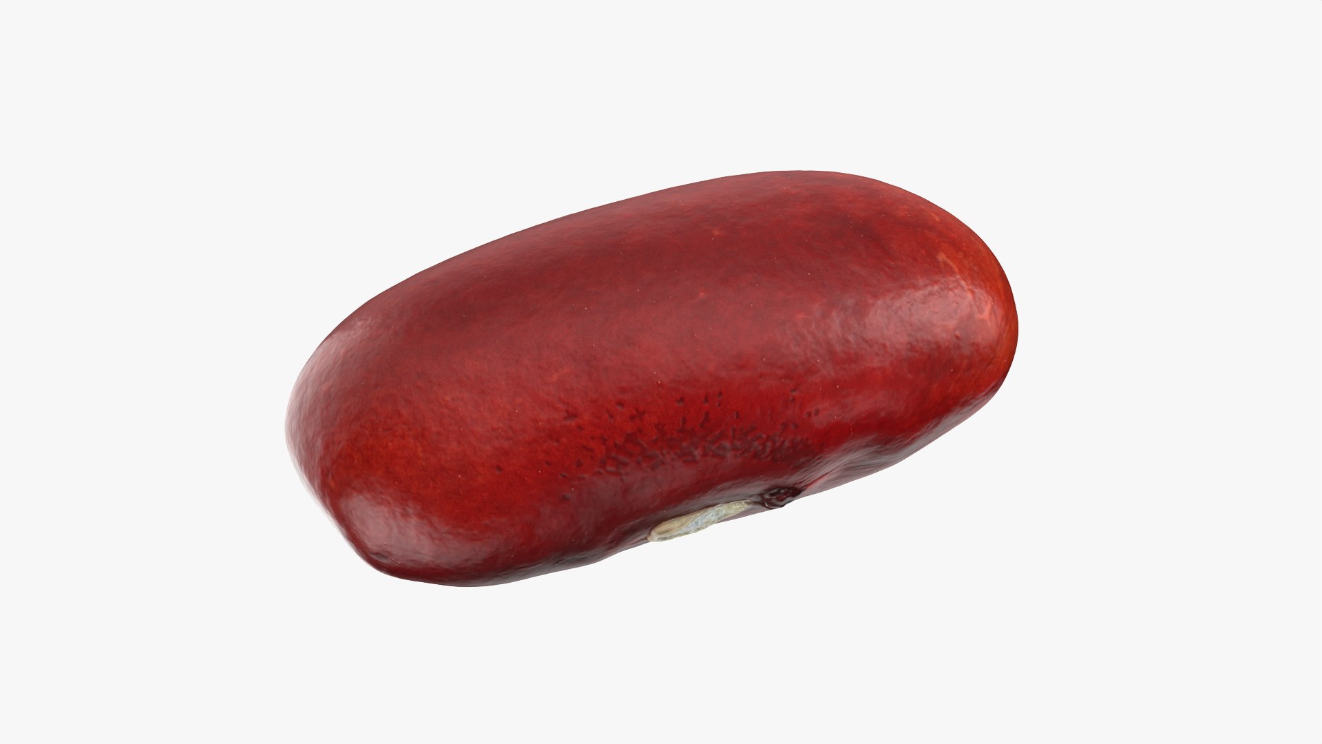 3D model Red Kidney Bean 02 https://p.turbosquid.com/ts-thumb/5H/MTy8eE/sS/redbean02_0001/png/1763904237/1920x1080/fit_q87/bf74ff206c0e2cd10bc31f75817df20811450916/redbean02_0001.jpg