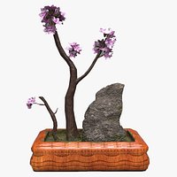 Bonsai Tree 3D Model