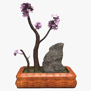 3D bonsai tree with rock Low-poly 3D model model