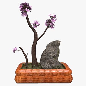 Bonsai Tree 3D Model