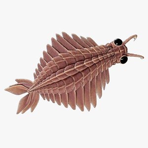 Anomalocaris Canadensis