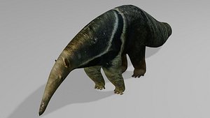 3D Capybara and andeater OBJ  BLEND