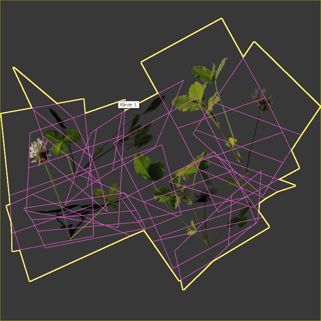 3D Clover - TurboSquid 1637415