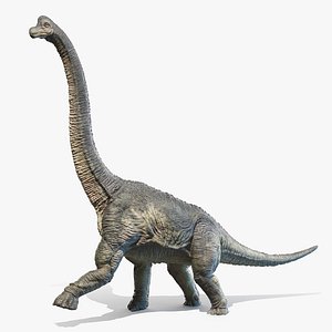 Brachiosaurus Animated