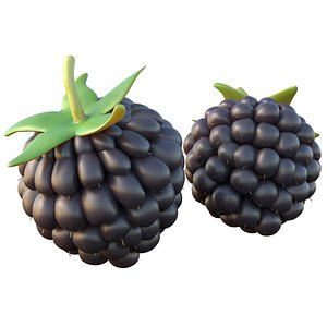 Blackberry fruit 3D