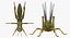 3D grasshopper fur rigged model