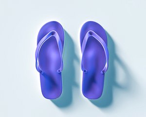 summer slippers 3d x
