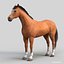 Horses PRO - 4 in 1 Bundle