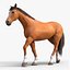 Horses PRO - 4 in 1 Bundle
