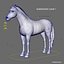 Horses PRO - 4 in 1 Bundle