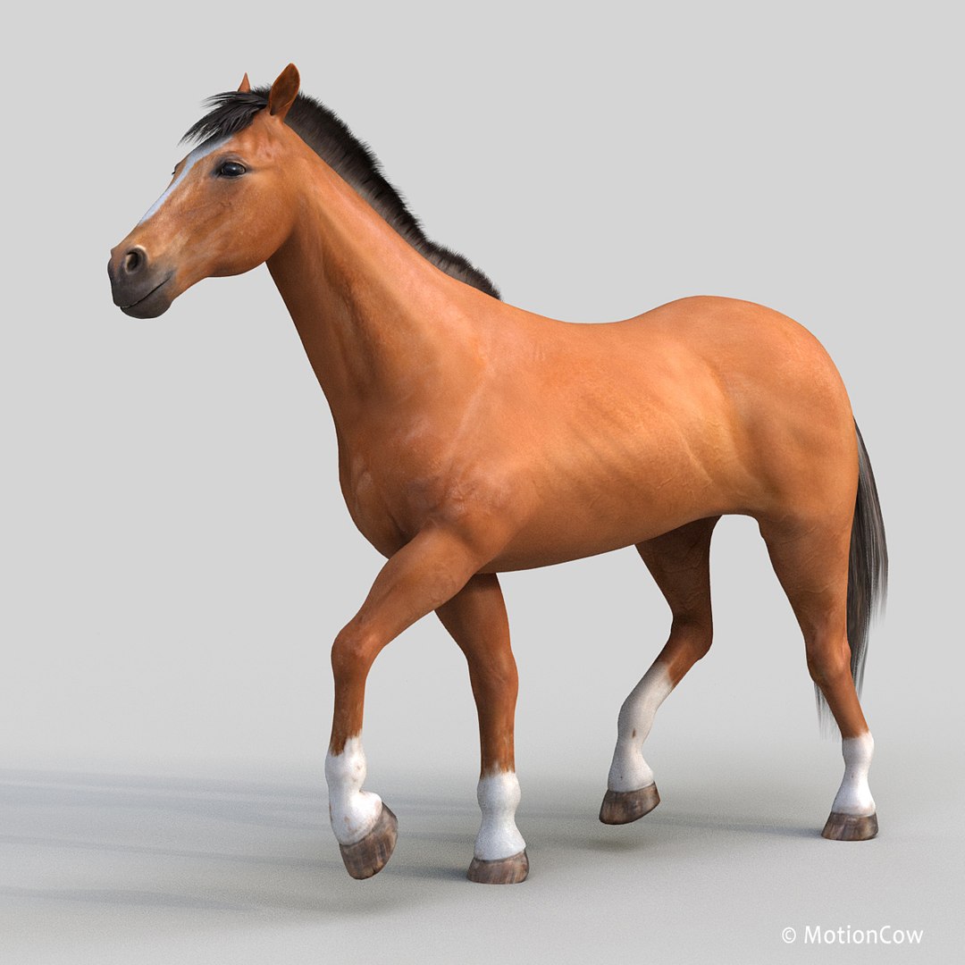 3D horse pro 4 1 https://p.turbosquid.com/ts-thumb/5I/DAs8LJ/8tyCuUmH/brown_horse_prod/jpg/1554456980/1920x1080/fit_q87/28e382835bd3f67ecde2aa2ae35c64dbd26ec037/brown_horse_prod.jpg