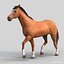 Horses PRO - 4 in 1 Bundle